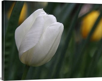 Mehr in den Hintergrund - Photograhy für einen Zweck / Kunst ist wichtiger als Hass / 100 % der Einnahmen gespendet, um geplante Elternschaft