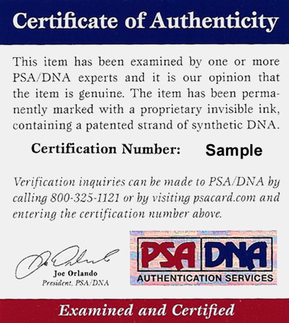 ペレ直筆サイン写真ポートレート PSA/DNAの証明書付 Penny Hardaway Autographed Signed Framed Orlando Magic Jersey PSA