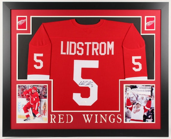 framed red wings jersey