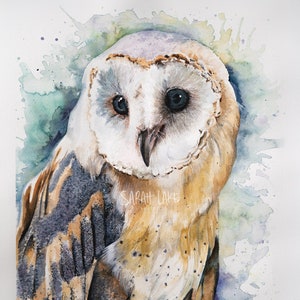 LIMITED EDITION Barn Owl Watercolour Painting Fine Art Giclee Print bird wildlife decor Britain British prey hoot