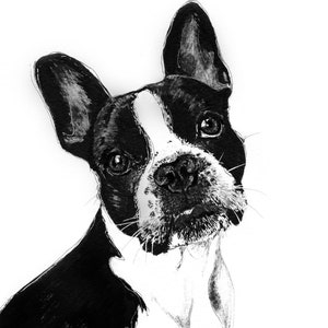 Boston Terrier Hund Stift Zeichnung Kunst A5 Blanko Grußkarte Tinte schwarz weiß Französische Bulldogge Bully Frenchie süßer Welpe Tier Haustier Skizze Rasse
