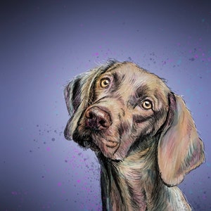 Chien Vizsla hongrois Art numérique vierge A5 carte de voeux peinture visla vizla viszla race pour animaux de compagnie crufts fil dessin croquis peinture décor mignon