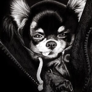 Chihuahua cão caneta desenho arte a5 cartão em branco cabelos longos preto branco casaco inverno bonito filhote de cachorro animal de estimação raça tricolor tan tinta brinquedo