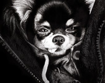 Chihuahua Dog Pen Drawing Art A5 Blank Greeting Card long haired black white coat winter cute puppy animal pet breed tricolour tan ink toy