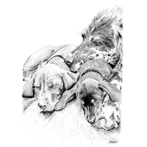 Cuccioli che dormono penna schizzo arte A5 biglietto di auguri vuoto simpatico trio setter inglese vizsla ungherese in miniatura bassotto cucciolo cucciolo di cane razza