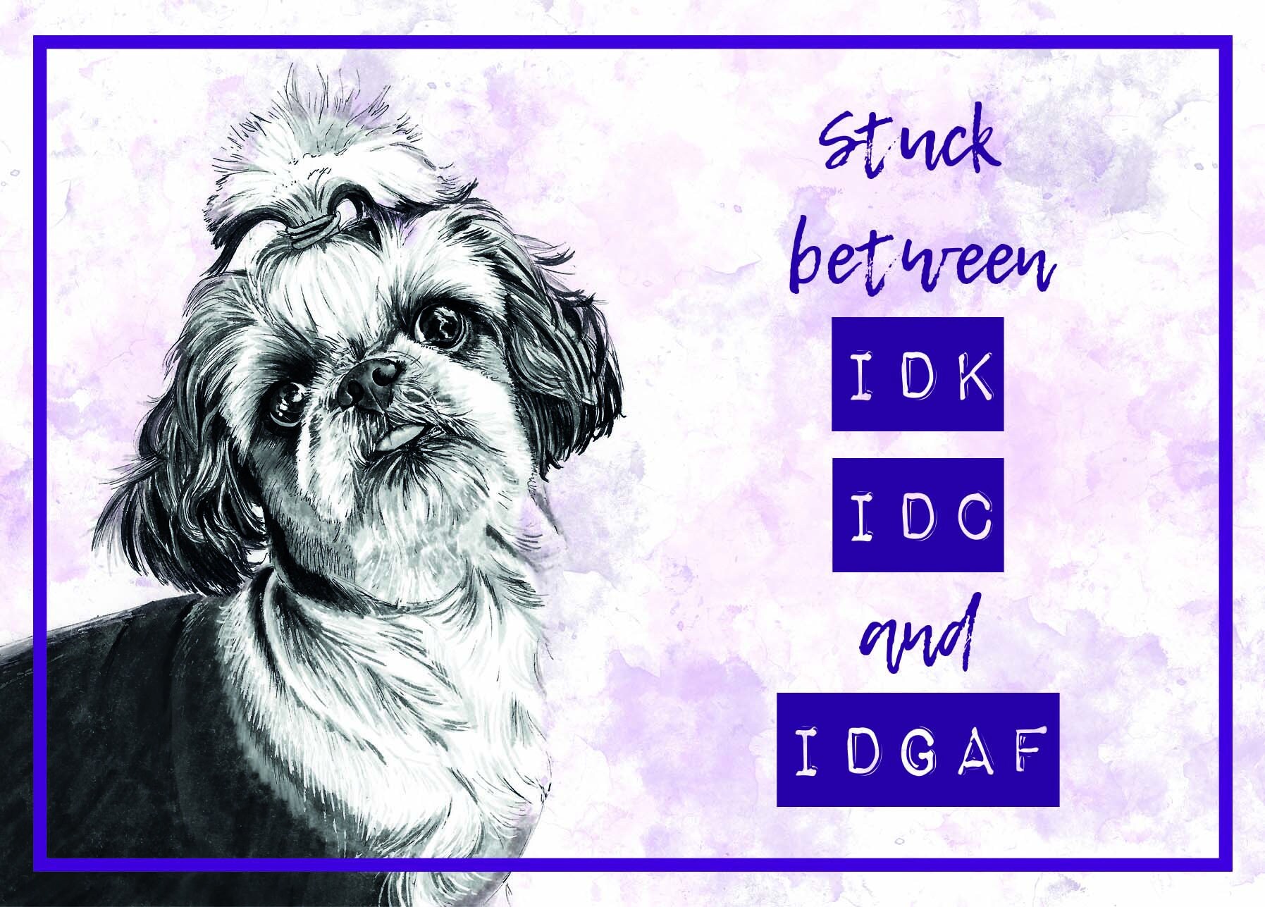 Ilustración De Shih Tzu Dog Con Juguet Y Corazon Ilustración Del