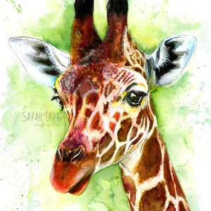 Giraffe Watercolour Painting Fine Art Giclee Print artist decor African safari colourful bright wall art