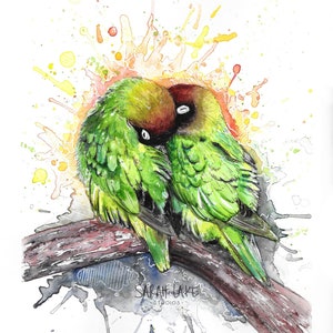 Innamorati Pittura ad acquerello Arte A5 Biglietto d'auguri vuoto Fauna selvatica Uccello Pappagallo tropicale Amore San Valentino carino