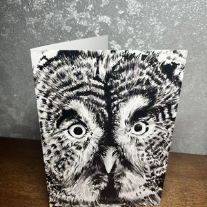 Grote grijze uil vogel schilderij kunst A5 blanco wenskaart dieren in het wild dieren vleugels veren vliegen zwart wit tekening pen inkt schets ogen gezicht.