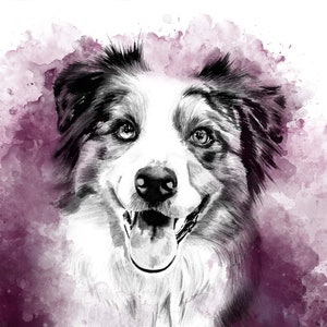 Australian Shepherd Dog Watercolour Painting A5 Blank Greeting Card breed Aussie border collie merle agility pet purple wine mauve grape