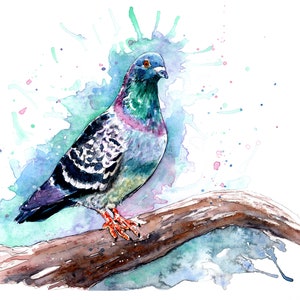 Pigeon peinture aquarelle Art A5 vierge carte de voeux ailes d'oiseau plumes animal faune vie urbaine aviaire dessin croquis peinture stylo encre bleu
