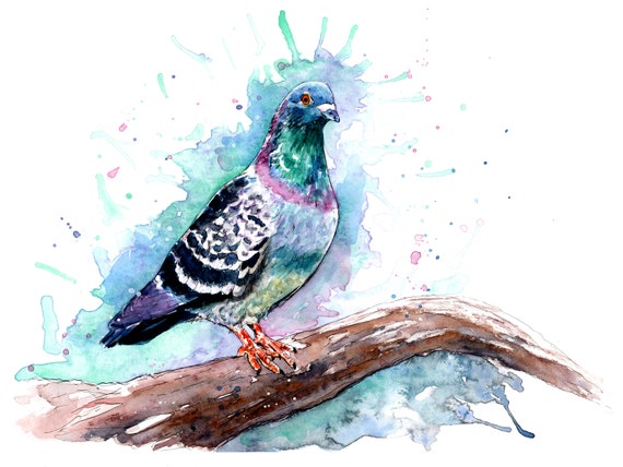 Pigeon Watercolour Painting Art A5 Blank Greeting Card Bird Wings