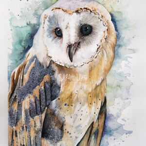 Barn Owl Bird Watercolour Painting Art A5 Blank Greeting Card wildlife animal wings feathers