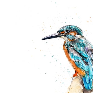 Kingfisher aquarela arte A5 cartão de felicitações em branco pássaro selvagem vida selvagem animal britânico reino unido pintura esboço desenho tinta água penas azul