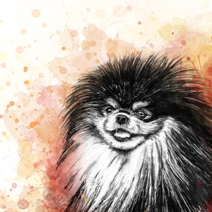 Pomeranian Dog Aquarela Pintura A5 Cartão em branco pom raça brinquedo animal de estimação arte laranja