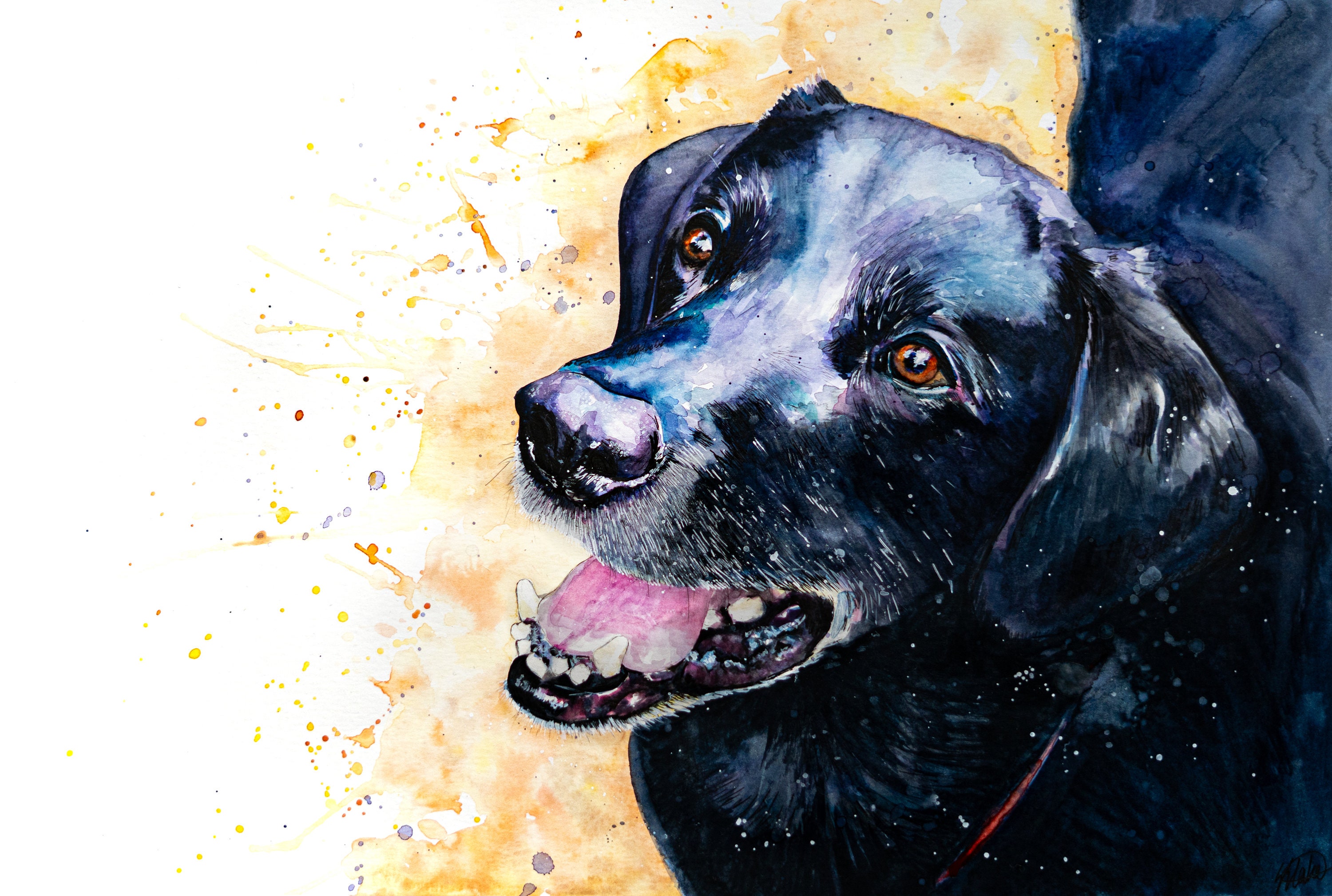 Grußkarte Mit Schwarzem Labrador – Aquarell-Spritzeffekt – Innen Leer, Mit Umschlag – 144 X 144 Mm