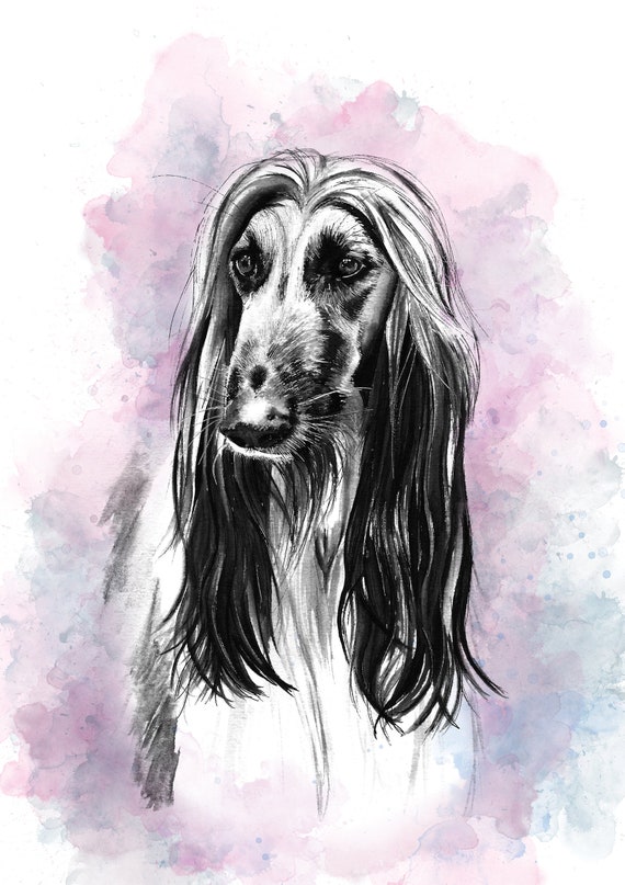Afghan Hound Dog Art Blank A5 Greeting Card Pet Animal Crufts