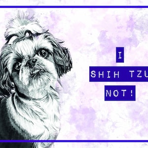 Shih Tzu pas drôle chien Art A5 carte de voeux vierge race rose violet impertinent shitzu animal de compagnie