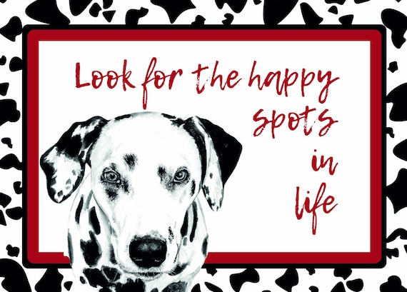 Dalmatian Cute Name For Black And White Dog Dalmatian Happy Spots