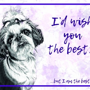 Shih Tzu meilleur chien Art A5 carte de voeux vierge shitzu drôle rose pourpre race impertinente attitude petit féroce idiot toilettage souhait toiletteur mignon