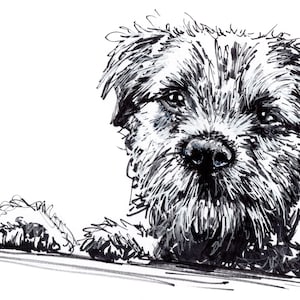 Border Terriër Hond Pen Schets Kunst Blanco A5 Wenskaart ras pup puppy zwart wit Krabbel artwork tekening inkt marker dier huisdier schattig