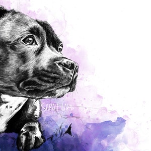 Staffordshire Bull Terrier chien aquarelle Art A5 carte de voeux vierge staffy staffie chiot croquis peinture peinture stylo encre crufts dessin