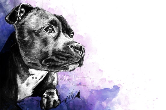 Crufts puppy pen online