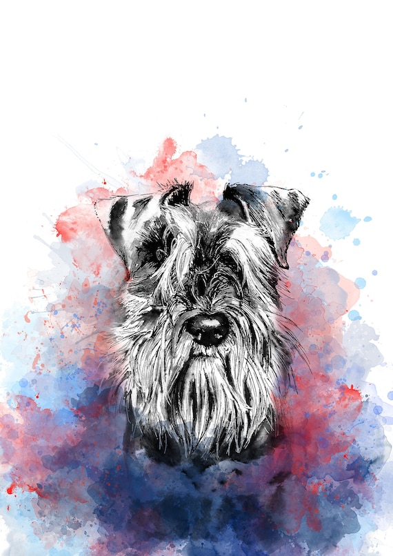 Schnauzer deals red beard