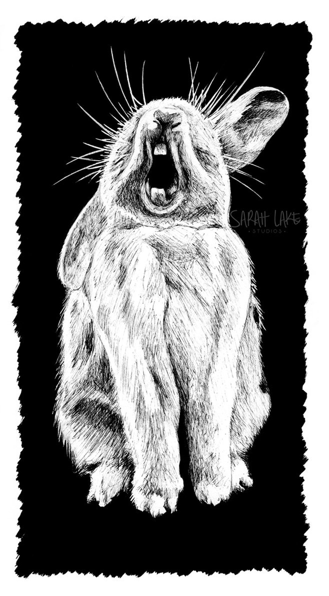 Rabbit Yawning Pen Drawing Art A5 Blank Greeting Card Black White Ink ...