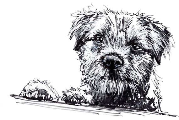 Giclee Fine Art Print Border Terrier Dog Pen Sketch Drawing Ink Breed Pup Puppy Artwork Pet Black White Scribble Teddy Cute Crufts Animal Etsy UK