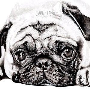 Tarjeta de felicitación en blanco tamaño A5 con dibujo de perro Pug, dibujo de pintura, cachorro triste, lindo, raza en blanco y negro, arrugas, cervatillo arrugado, animal de compañía, costras