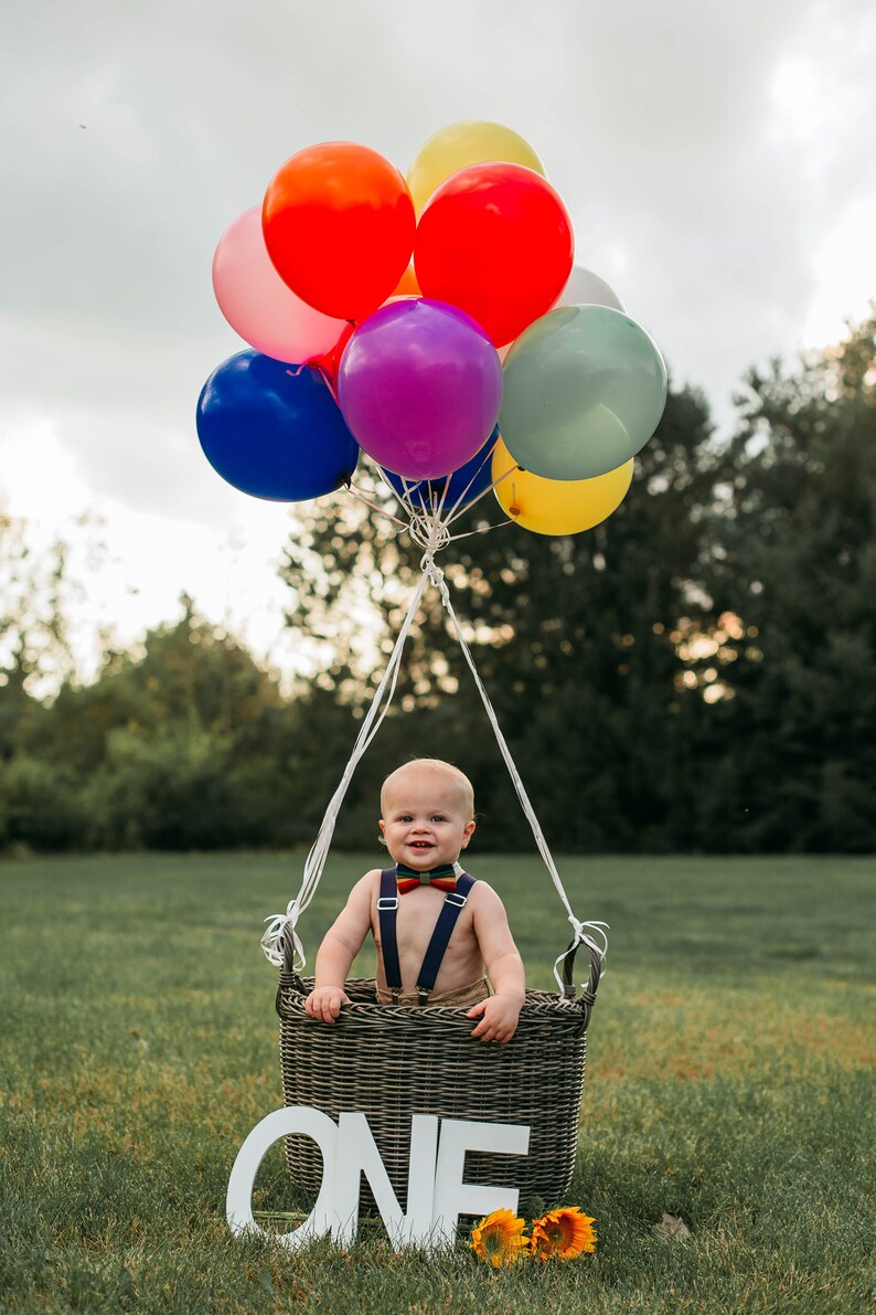 Rainbow Baby Rainbow Gender Reveal Rainbow Baby Photoshoot | Etsy