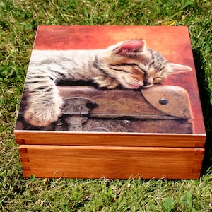 wooden box cat, sweet kitty chest, jewelry box with cat motif, home decoration, keepsake box, wooden chest, gift for cat lover