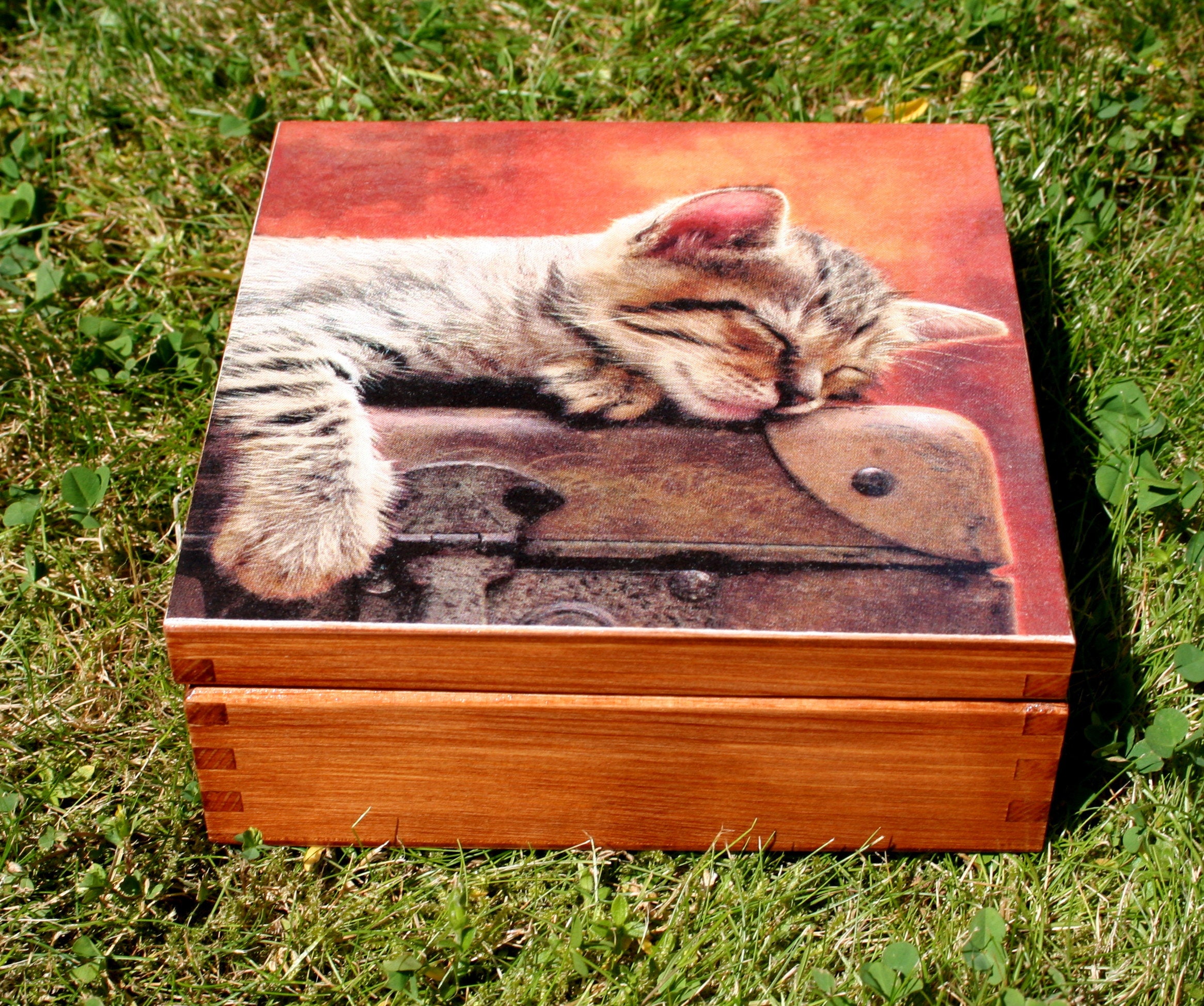 Wooden box cat sweet kitty chest home decoration keepsake Etsy