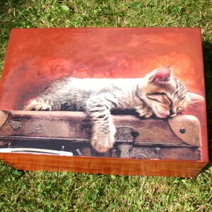 schmuckkästchen mit katze, nähkästchen, schmuckkästchen, nähkästchen, schmuckschatulle mit herausnehmbaren trennwänden, geschenk für katzenliebhaber