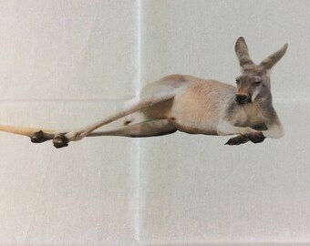Lazy Skippy the Kangaroo Teatowel