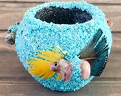 Native American Indian-Handmade Pueblo Pottery - Turquoise ZUNI FETISH POT - Marvelita Phillips