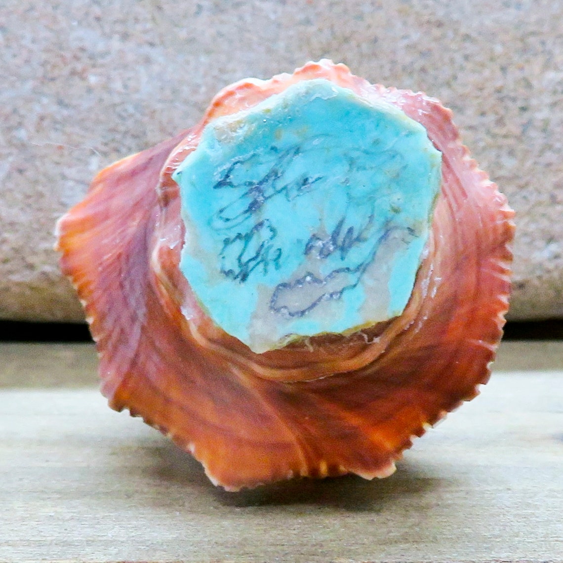 Zuni Fetish CarvingNative AmericanZuni CarvingShell Pretty Etsy