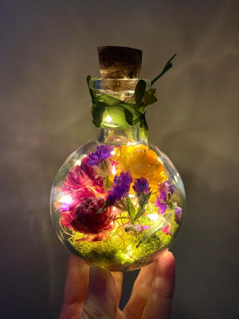 Enchanted Fairy Lantern Nature Inspired Fairy Light Potion - Etsy