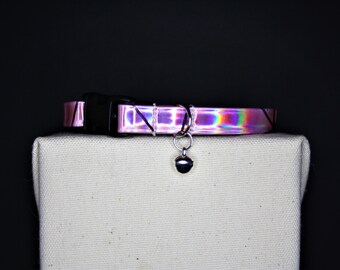 best harness for working cocker spaniel