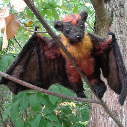 Flying shops Fox, Bat