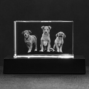 3D Photo Engraved Crystal for Dog Lovers, Personalized Keepsake Photo Gift for Dog Mom