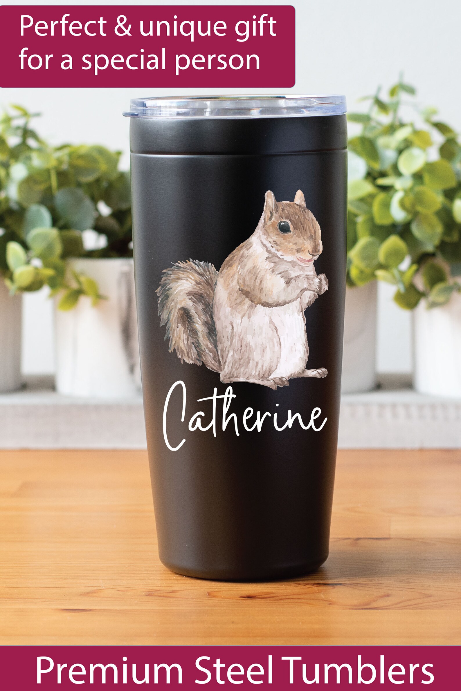 Squirrel Gifsterms Of Use
