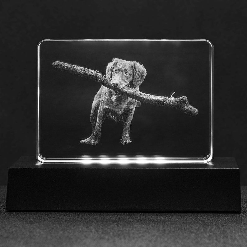 3D Photo Engraved Crystal Etched Glass Memorial Gift for Loss of Pet or