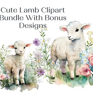 Cute Lamb Clipart, Spring Watercolor PNG Bundle, Commercial Use Graphics