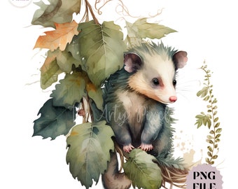 Cute Possum PNG Clipart, Goblincore Clipart, Opossum Sublimation, Watercolor Possum Digital Download, Commercial Use PNG