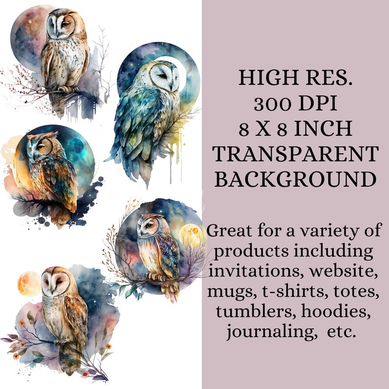 Celestial Owl Clipart Watercolor Owl Download Magical Etsy