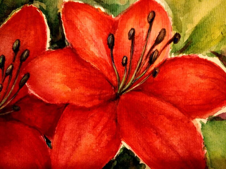 Red Flower Original Painting Watercolor Flower Painting Red Etsy