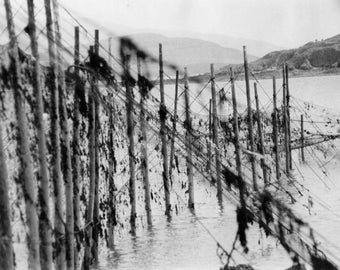 Auchencairn nets