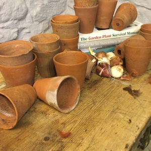 May include: A collection of terracotta pots of various sizes, some stacked on top of each other, on a wooden surface. The pots are all brown and have a rough texture. There are also some bulbs and a book titled "The Garden Plant Survival Manual" visible in the image.